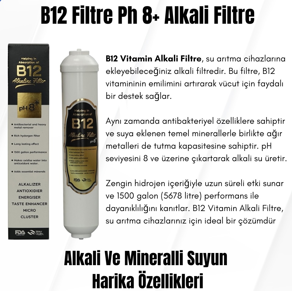PUREPRO B12 Alkalin Ph Filtresi