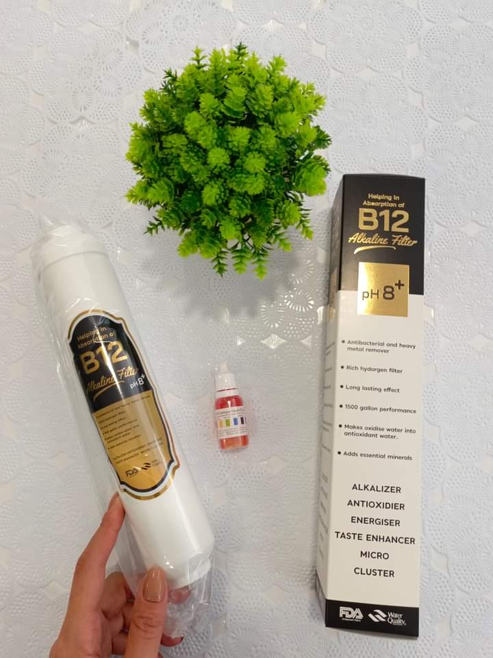 PUREPRO B12 Alkalin Ph Filtresi